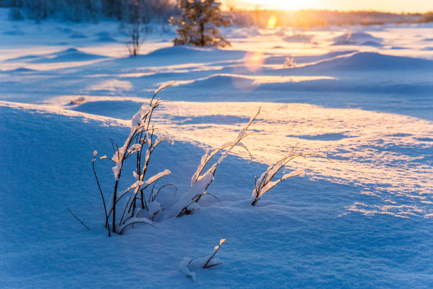 istock Winter sunset in Nuorgam, Lapland, Finland 1805675423
