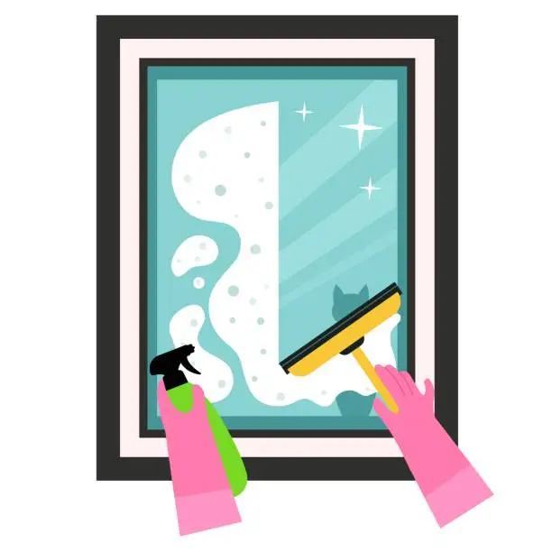Vector illustration of Process of washing window with a brush and spray gun.  Window cleaning cute cartoon vector illustration. Washing window with cleaning tools. Pink gloves wash window with cat reflection