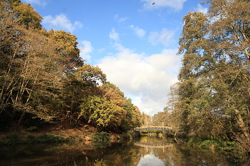 Autumn colours River Wey footbridge near Guildford Surrey England Europe