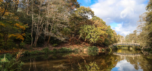 istock River Wey footbridge Guildford Surrey 1805685486