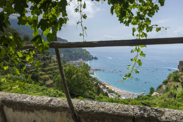 pola cytryny na wzgórzach w pobliżu maiori wzdłuż wybrzeża amalfi we włoszech - cytron zdjęcia i obrazy z banku zdjęć