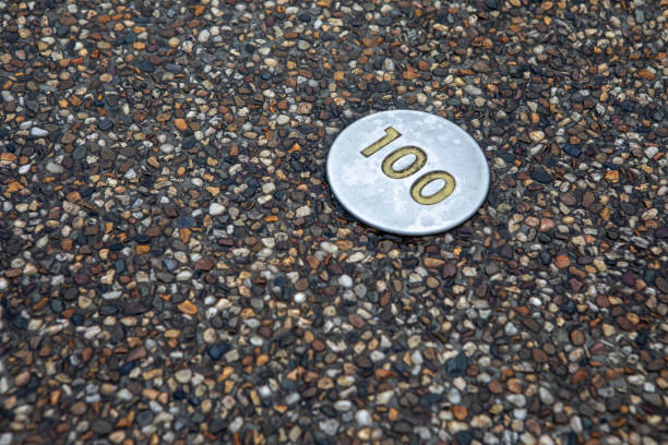 Circular disc on a pavement