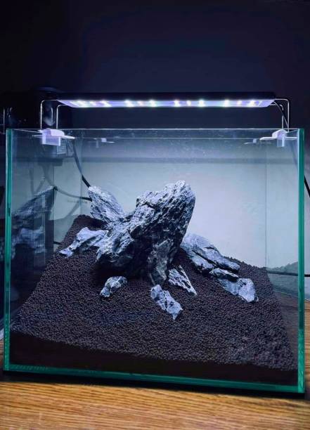 istock Iwagumi style on aquascape 1805697510