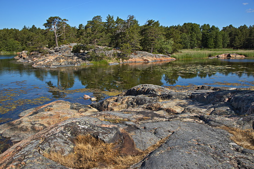 Landscape on Stora Krokholmen in Stendörrens Naturreservat in Sweden, Europe