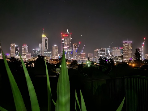 Lights in City skyline with plant in foreground