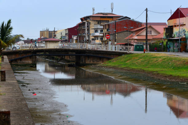 740+ Caienna Immagine Foto stock, immagini e fotografie royaltyfree