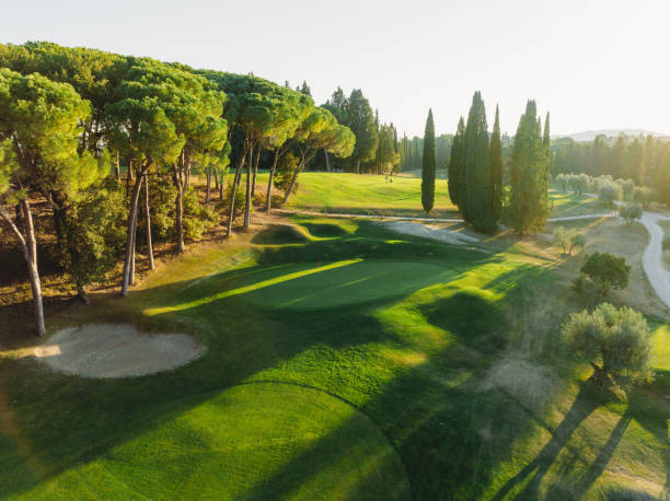 istock Aerial view of a golf course at sunset 1805749534