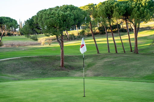 view of a golf course with a red pennant