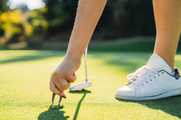 eine golferin hebt die pitch-markierung auf dem grün - golf golf course putting green hole stock-fotos und bilder
