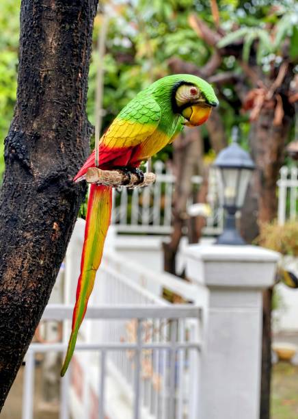istock a colorful parrot sitting on a branch. 1805770313