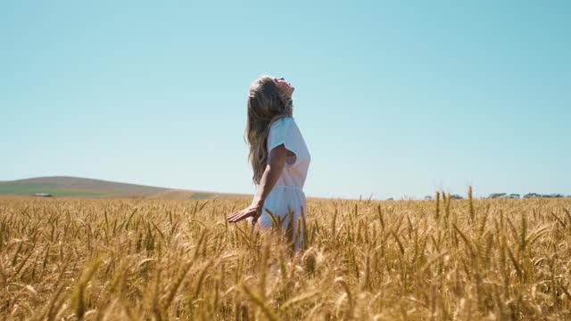 Nature, carefree and young woman in wheat field with blue sky for adventure in sustainable environment. Journey, travel and female person walking in agriculture farm in countryside on weekend trip.