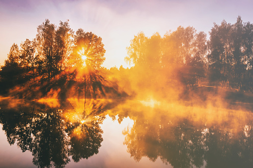 Dawn on a lake or river with a dramatic cloudy sky reflected in the water, birch trees on the shore and the sunbeams breaking through them and fog in autumn. Aesthetics of vintage film.