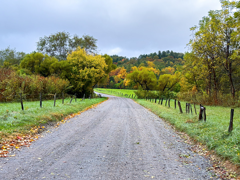 A dirt road through colorful fall colored trees. USA Cades Cove Tennessee