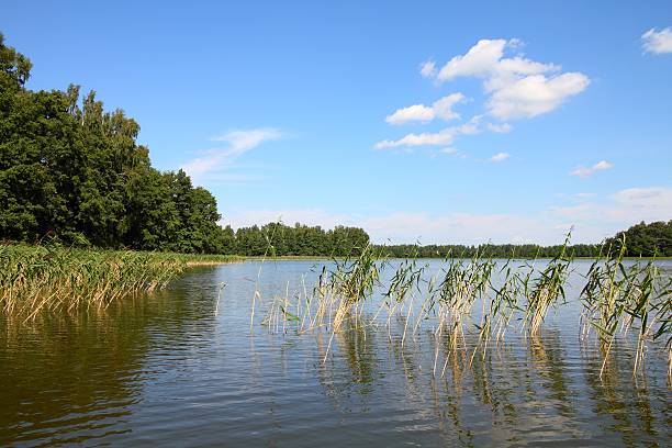 istock Masuria in Poland 180581867