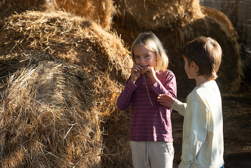 Children on a farm surrounded by hay