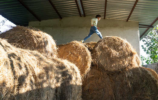 Boy playing on top of a pile of hay