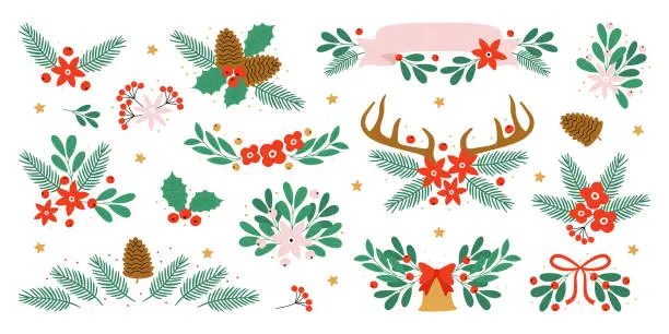 Vector illustration of Floral Christmas ornaments with spruce branches, fir twigs, cones and mistletoe vector illustration