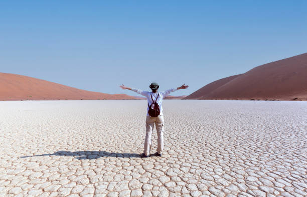 istock Dead Vlei - Sossusvlei, Namibia, Africa 1805830145