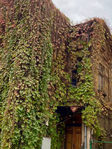 istock Bulgaria - Sofia - old buildings in the old town 1805830149