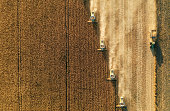 Corn harvest with combines shot from above.