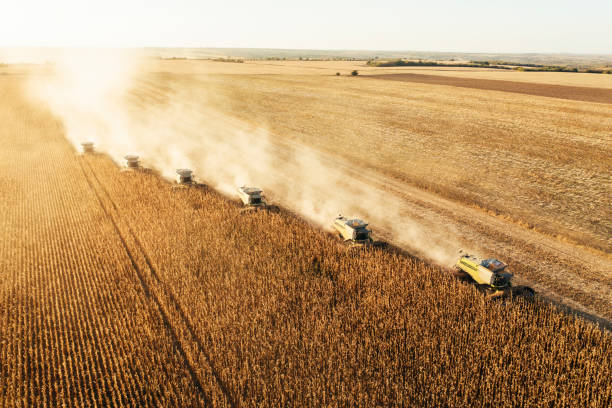 istock Harvesting In Agriculture Crop Field. 1805849924