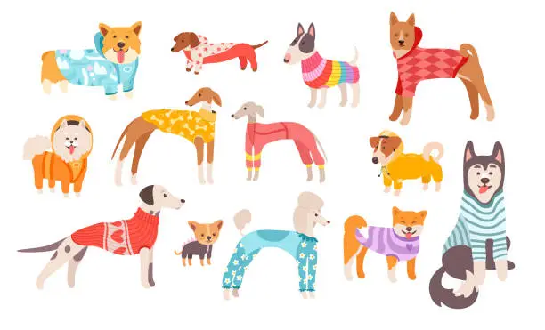 Vector illustration of Different cute dogs breeds, adorable puppies wearing funny clothes isolated set on white background