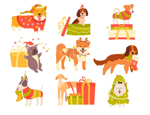 Keeping Your Canine Companion Cozy and Stylish Winter Dog Gear Christmas Gifts