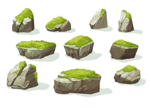 Vector illustration of Moss plants growing on old gray stones of different shapes isolated set on white background