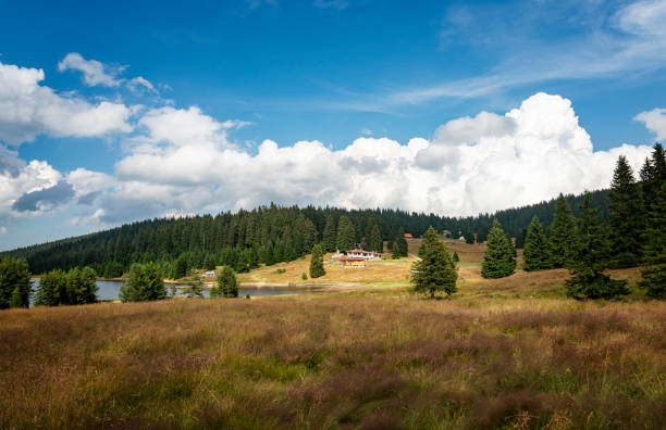 Haidushki Polyani area in Rhodope mountains. Bulgaria, Europe.