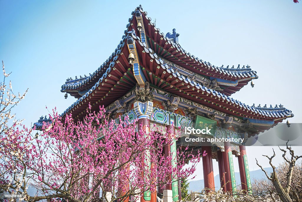 Pavilion & flor de la ciruela - Foto de stock de Aire libre libre de derechos