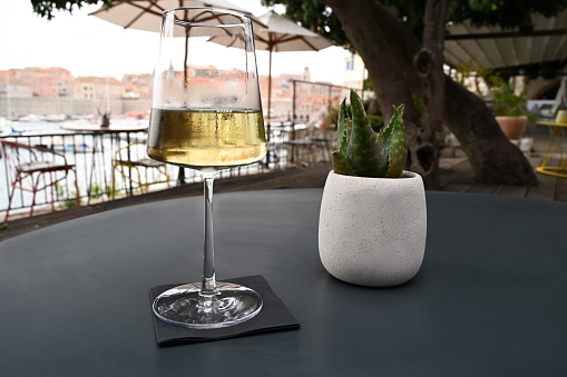 Glass of white wine on a table with a succulent in a flower pot