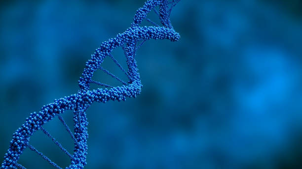 DNA 서열, 빛을 가진 DNA 코드 구조 스톡 사진