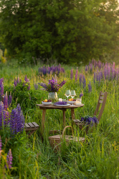 istock Summer sunset, romantic date outdoors in meadow, marriage proposal. Romantic sunset dinner in the field. Table honeymoon set for two with luxurious food, glasses of champagne drinks in a restaurant. 1805937265
