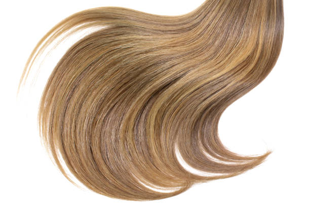 istock Curl of natural hair on white background 1805942330