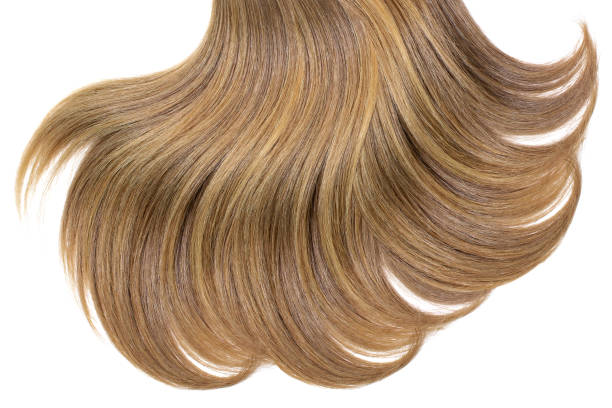 istock Curl of natural hair on white background 1805942331