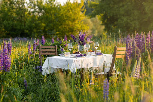 Beautiful romantic outdoor wedding decor in a field. Table decorated with purple lupines flowers. Wineglasses with white wine. Sunset, summer, golden hour. Perfect surprise date for loving couple