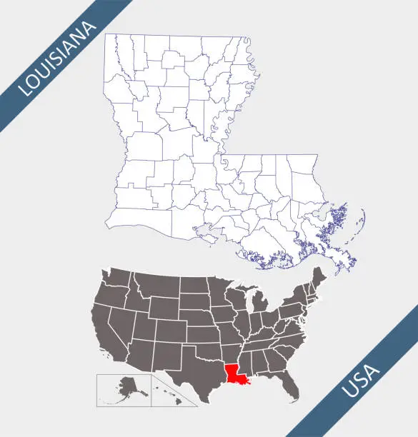 Vector illustration of louisiana counties map