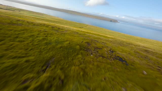 Cinematic FPV aerial shot of a herd Icelandic horses running in grassland landscape.