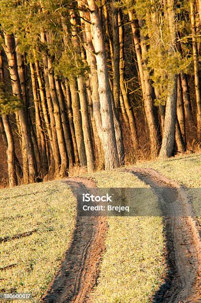 Pole Sposób - zdjęcia stockowe i więcej obrazów Bez ludzi - Bez ludzi, Fotografika, Góra