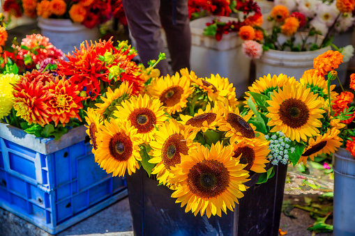 sunflowers and dahlias for sale at the market