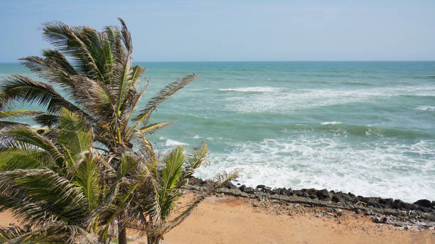 istock Scenic view of sea with coconut tree 1806072346