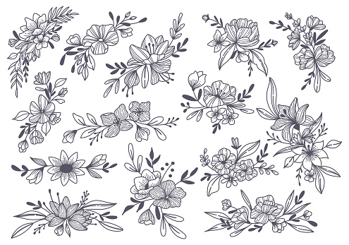 Set of Floral Branch Doodle Line Art Vector Illustration