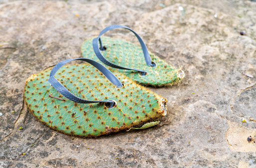 flipflops made out of prickly cactus leaves