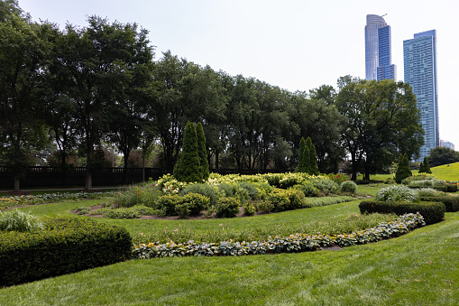 A beautiful green garden landscape with flowers and plants at Grant Park in Chicago during the summer