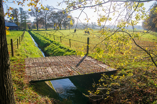 small wooden footbridge over a ditch used for cattle to walk to another meadow