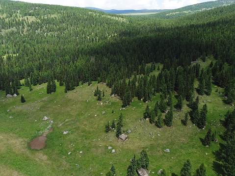 Aerial view of green mountain landscape and alpine meadows