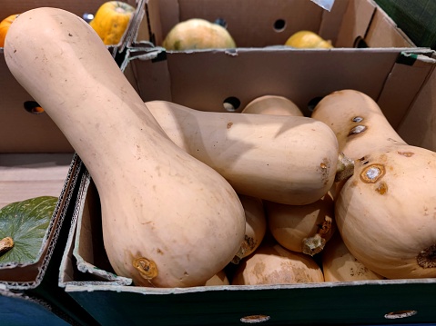 butternut squashes in a cardboard box on a shelf in the vegetable department of a supermarket. There are no persons or trademarks in the shot.