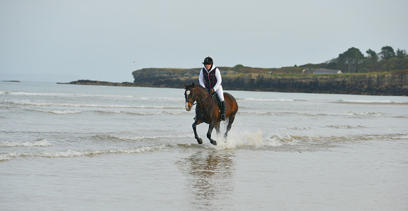 Pretty young woman rides her bay horse along the shoreline in the shallow water enjoying the freedom of cantering on the beach , every  girls dream.
