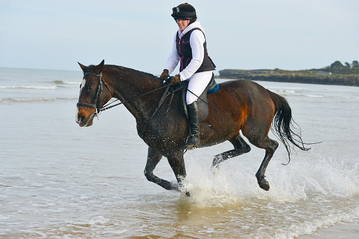 Pretty young woman enjoys splashing through the waves as she canters her horse pony at the waters edge on the beach in Wales UK on an Autumn day. Enjoying the freedom to move at speed and get an adrenaline rush.