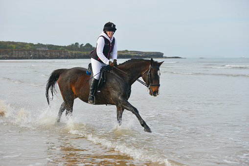 Pretty young woman enjoys splashing through the waves as she rides her horse pony at the waters edge on the beach in Wales UK on an Autumn day.